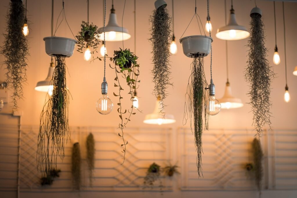 lights, decoration, illuminated, interior design, plants, light bulbs, nature, hanging plants, incandescent, lighting, interior decoration